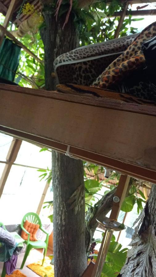 Treehouse Above The Beach Порт-Антоніо Екстер'єр фото