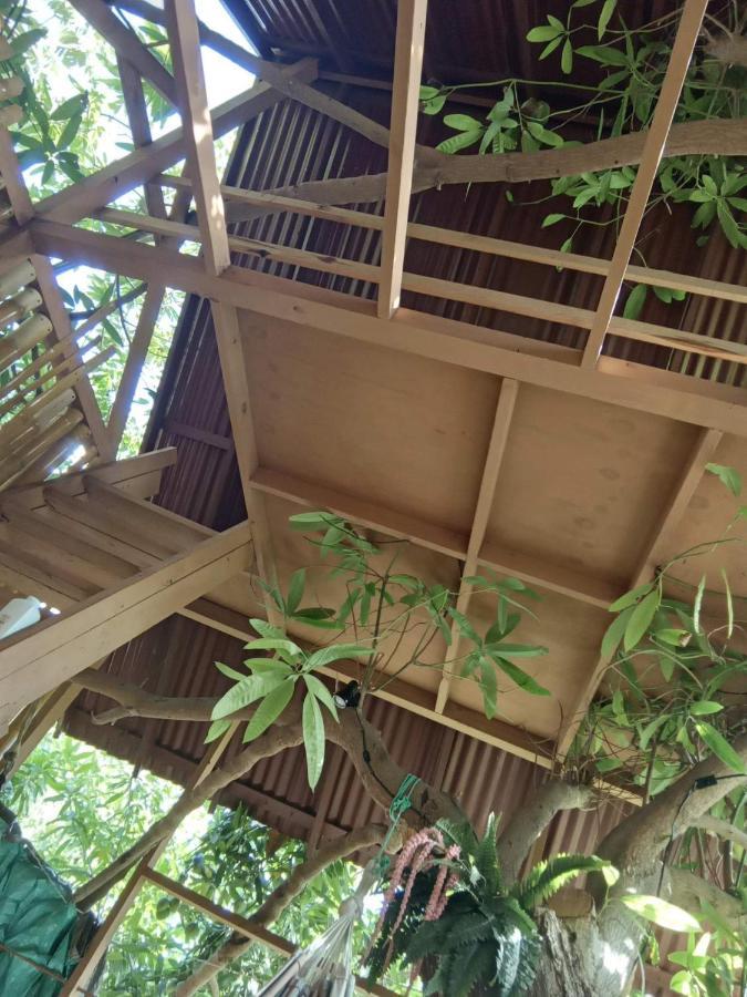 Treehouse Above The Beach Порт-Антоніо Екстер'єр фото