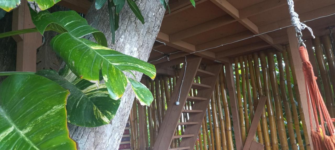Treehouse Above The Beach Порт-Антоніо Екстер'єр фото