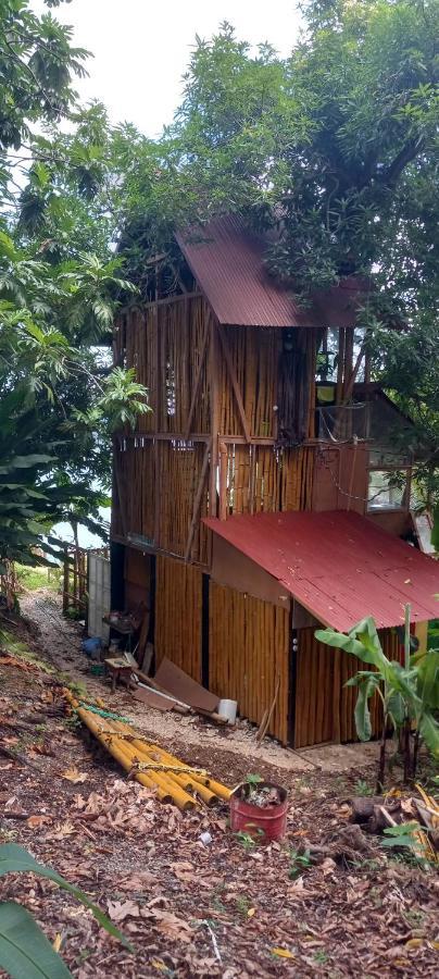 Treehouse Above The Beach Порт-Антоніо Екстер'єр фото
