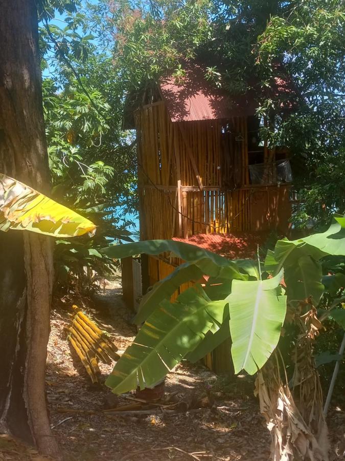 Treehouse Above The Beach Порт-Антоніо Екстер'єр фото