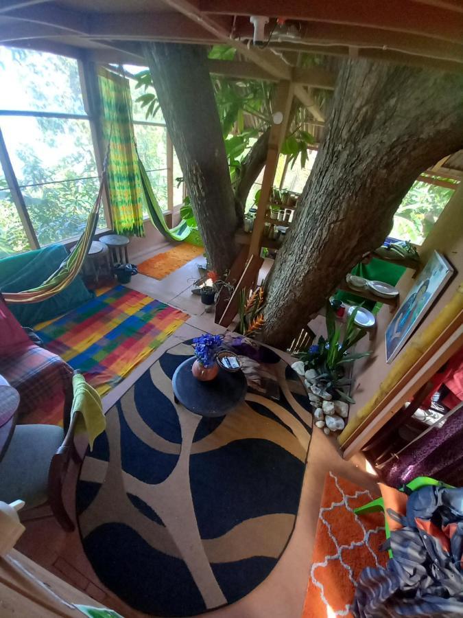 Treehouse Above The Beach Порт-Антоніо Екстер'єр фото